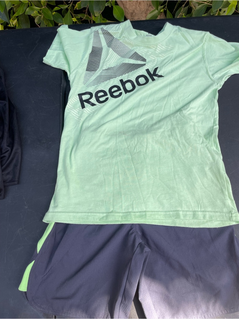 Reebok Mint Green Graphic Logo Tee
